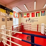 Миниатюра Кластер "Дети спорта" М. Пореченкова
