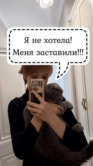 Котики не видят свое отражение в зеркале? Раскрываем секреты! 9520