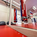 Миниатюра Кластер "Дети спорта" М. Пореченкова
