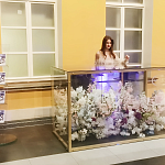 Миниатюра Высшая Школа Экономики